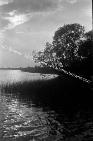 ON THE BROADS EVENING